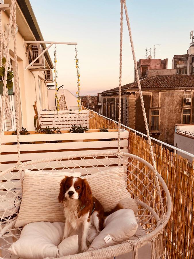 Bed and Breakfast Finestra Sulla Sicilia CTA Exterior foto